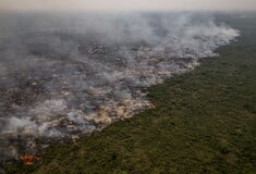 Βραζιλία: Οι καταστροφικές φωτιές απειλούν τον μεγαλύτερο τροπικό υγρότοπο στον κόσμο