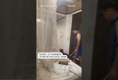 Ταϊλάνδη: Εκατοντάδες νυχτοπεταλούδες «εισέβαλαν» σε δωμάτιο ξενοδοχείου