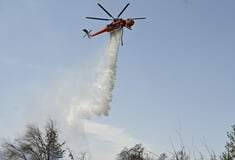 Υπό μερικό έλεγχο η φωτιά στην Πλάτη Μεσσηνίας