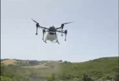 Ρεθυμνο: Με drone ρίχνουν «αντηλιακό» στα αβοκάντο