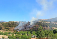Φωτιά στην Αχαΐα: Σηκώθηκαν εναέρια μέσα