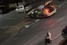 Aστυνομικός στην Βρετανία τιμωρήθηκε επειδή έπεσε επάνω σε μια αγελάδα με το περιπολικό