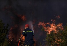 Φωτιές: Χωρίς ενεργό μέτωπο στο Νευροκόπι- Υπό μερικό έλεγχο στην Τερπνή Σερρών