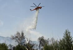 Φωτιά στη Νάξο: Μήνυμα του 112 ζητά την απομάκρυνση των κατοίκων