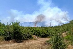 Μεγάλη φωτιά στο Κρανίδι – Καίγονται σπίτια