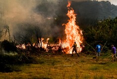 Φωτιές: Στην Ηλεία το βασικό μέτωπο - Ολονύχτια μάχη της Πυροσβεστικής