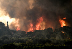Φωτιά στην Ηλεία: Σε δύο χωριά το κύριο μέτωπο - Ολονύχτια μάχη των δυνάμεων της Πυροσβεστικής 