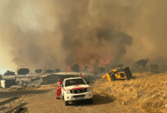 Φωτιές: Μάχη για τις φλόγες στη Ροδόπη- Καλύτερη εικόνα στις υπόλοιπες περιοχές