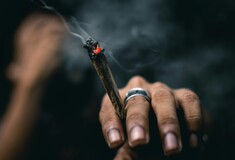 Βραζιλία: Αποποινικοποιήθηκε η κατοχή μαριχουάνας για προσωπική χρήση