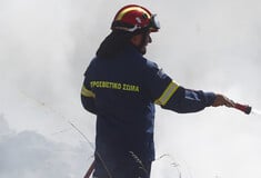 Πυροσβεστική: 34 πυρκαγιές το τελευταίο 24ωρο στη χώρα - Δύο συλλήψεις σε Χαλκίδα και Καλαμπάκα