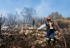 Κικίλιας για τον κίνδυνο πυρκαγιών: Η μισή χώρα βρίσκεται στο «πορτοκαλί» εξαιτίας θυελλωδών ανέμων
