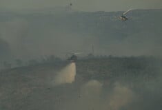 Φωτιά στη Σταμάτα: 20 εναέρια μέσα στη μάχη με τις φλόγες 