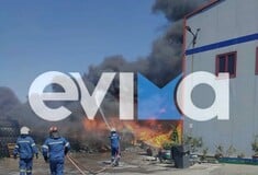 Φωτιά τώρα στη Ριτσώνα - Καίγεται εργοστάσιο στη βιομηχανική περιοχή