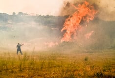 Φωτιά στη Λαμία και στην Αυλίδα: Μεγάλη κινητοποίηση της Πυροσβεστικής