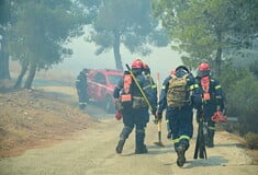 Φωτιά στην Κερατέα: Έξι οικισμοί κινδυνεύουν - 52 απεγκλωβισμοί πολιτών