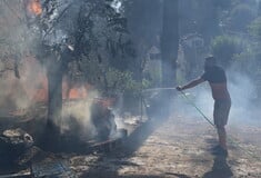 Φωτιά στη Σταμάτα: Νεκρός 45χρονος από ανακοπή μετά από εισπνοή καπνού