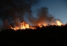Φωτιά στη Σταμάτα: Μάχη σε διάσπαρτες εστίες για τους πυροσβέστες