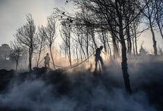 Χωρίς ενεργό μέτωπο οι φωτιές σε Σταμάτα και Κερατέα - Σε εξέλιξη πυρκαγιές σε Ζάκυνθο και Δίστομο