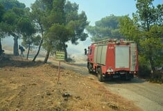 Πυροσβεστική: 27 αγροτοδασικές πυρκαγιές σε όλη την χώρα το τελευταίο εικοσιτετράωρο