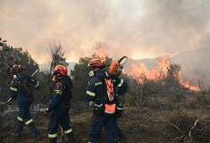 Φωτιά τώρα στην Πάτρα - 112 για εκκένωση στην περιοχή του Γηροκομείου