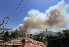 Φωτιά στην Πάτρα: Εκκενώθηκε δομή ΑμεΑ και το γηροκομείο της πόλης 