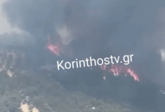 Φωτιά στην Στιμάγκα Κορινθίας - Ενισχύονται οι δυνάμεις της πυροσβεστικής 