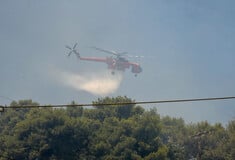 Φωτιά στη Λέσβο: Προκλήθηκε από τροχαίο δυστύχημα