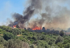 Φωτιά στην Χίο: Βελτιωμένη εικόνα από το μέτωπο - Συνεχίζονται οι προσπάθειες κατάσβεσης