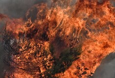 Φωτιά καίει τώρα δάσος στα Σερζιανά Ιωαννίνων