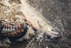 Τα οφέλη και οι κίνδυνοι του νερού φτάνουν βαθύτερα από όσο γνωρίζουν πολλοί