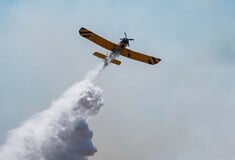 Χωρίς ενεργό μέτωπο η φωτιά στο Κιλκίς