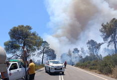 Φωτιά στο Σοφικό: Δεν έχει τεθεί υπό έλεγχο - Ισχυροί άνεμοι δυσκολεύουν την Πυροσβεστική