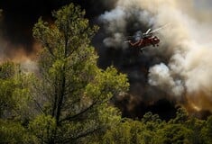 Φωτιές: Καλύτερη η εικόνα στο Σοφικό, υπό πλήρη έλεγχο στην Ζάκυνθο