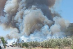 Μεγάλη φωτιά τώρα στο Σοφικό Κορινθίας