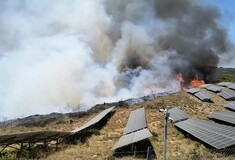 Φωτιά στη Ζάκυνθο: Καίγεται αγροτοδασική έκταση στην περιοχή Αγαλάς