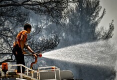 Φωτιά σε δασική έκταση στη Δράμα