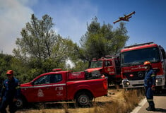 Καλύτερη η εικόνα της φωτιάς στο Σοφικό - Σε πολύ υψηλό κίνδυνο φωτιάς επτά περιφέρειες