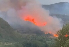 Φωτιά στη Μεταμόρφωση Μεσσηνίας