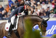 Η PETA απαιτεί την απαγόρευση της ιππασίας στους Ολυμπιακούς Αγώνες