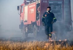 Πολύ υψηλός κίνδυνος φωτιάς την Κυριακή σε Αττική και άλλες επτά περιοχές