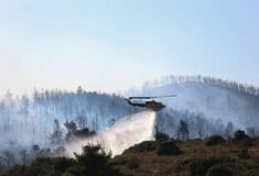 Πολύ υψηλός κίνδυνος πυρκαγιάς αύριο για 8 περιοχές – Σε επιφυλακή η Πολιτική Προστασία
