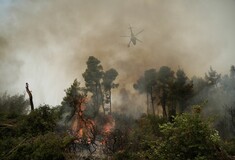 Φωτιά στην Εύβοια: Εκκενώνονται οι Πετριές - Οι φλόγες πέρασαν την Εθνική Οδό