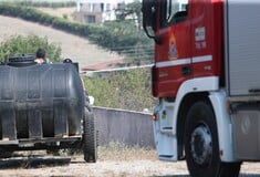 Κιλκίς: Φωτιά σε αγροτοδασική έκταση στην περιοχή Πευκοδάσος