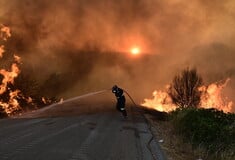 Φωτιά στην Εύβοια: Βελτιωμένη η εικόνα - Πάνω από 200 πυροσβέστες στη μάχη