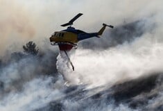 Εύβοια: Χωρίς ενεργό μέτωπο η φωτιά - Καταστροφές σε καλλιέργειες και δασικές εκτάσεις 