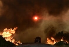 Φωτιά στην Εύβοια - Κικίλιας: «Θα μείνουμε εδώ μέχρι να ολοκληρώσουμε το έργο μας»