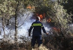 Φωτιά στο Ηράκλειο Κρήτης - Άμεση κινητοποίηση της Πυροσβεστικής