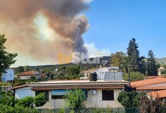 Φωτιά στον Πισσώνα Ευβοίας: Ενισχύθηκαν οι πυροσβεστικές δυνάμεις - Μήνυμα του 112 για απομάκρυνση από το Αφράτι