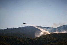 Φωτιά στην Εύβοια: Μεγάλη αναζωπύρωση στο Αφράτι - Ανετράπη πυροσβεστικό σε χαράδρα