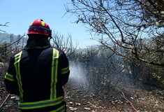 Υπό μερικό έλεγχο η φωτιά σε χαμηλή βλάστηση κοντά στο Πολύκαστρο